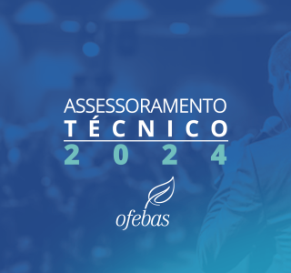 271_YANK_OFEBAS_ASSESSORAMENTO_TECNICO_SITE_A