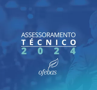 271_YANK_OFEBAS_ASSESSORAMENTO_TECNICO_SITE_A